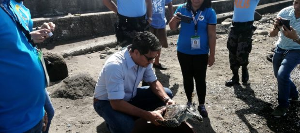 Richard Gomez releasing of turtle
