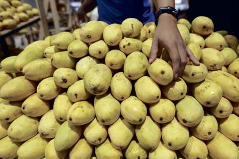 Sweet side of El Niño: 2M kilos of surplus mangoes