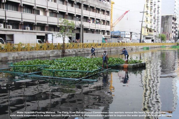 pasig river hyacinth clearing op