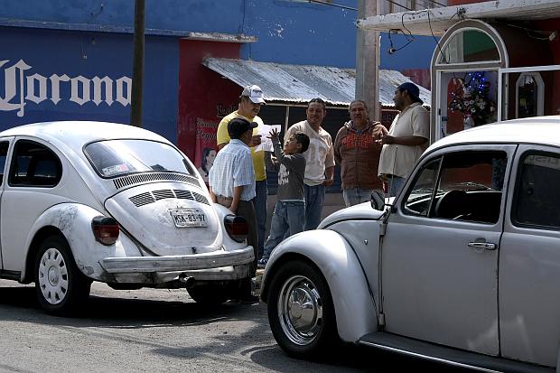 Beetles in Mexico