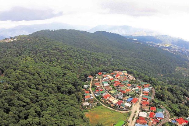 Baguio’s pine eyed as heritage tree