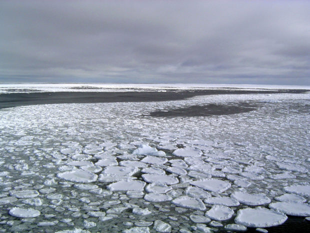 Floating Antarctic ice goes from record high to record lows