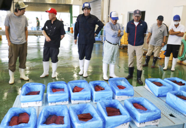 Whale meat fetches 'celebration prices' after Japanese hunt