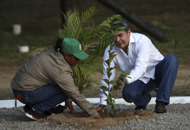 Mexico vows to help Honduras via tree-planting program