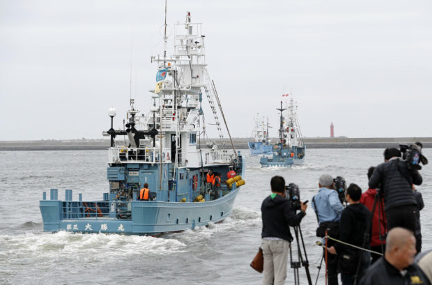 Japan resumes commercial whaling, seen as face-saving end