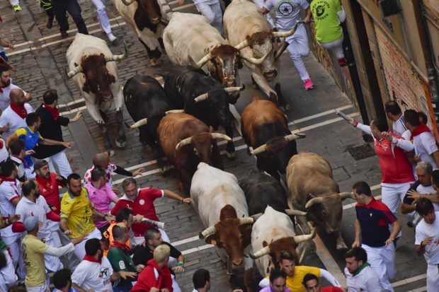 1 gored, 5 injured in bull race during 6th run of 2019 Pamplona festival