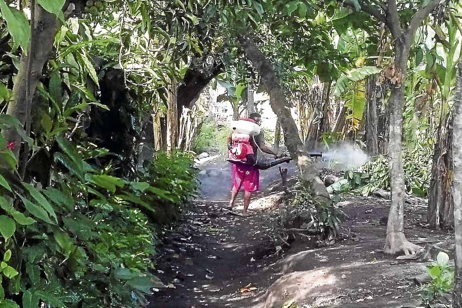 Zamboanga Sibugay, Bicol bear brunt of dengue surge