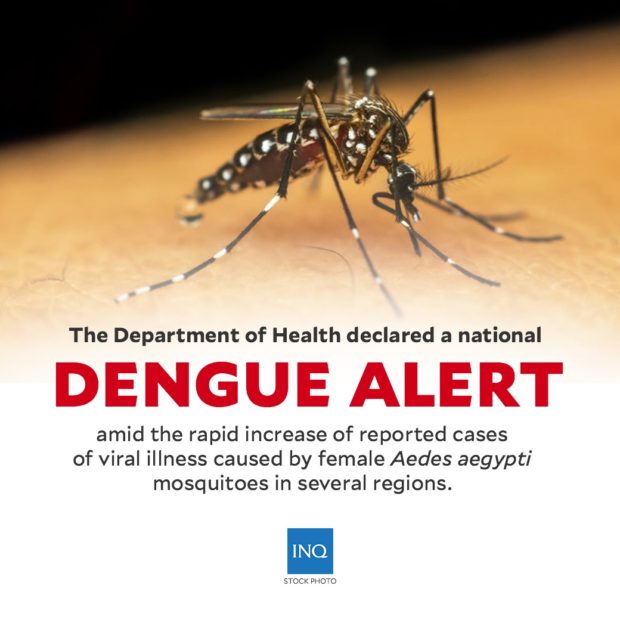 doh dengue alert