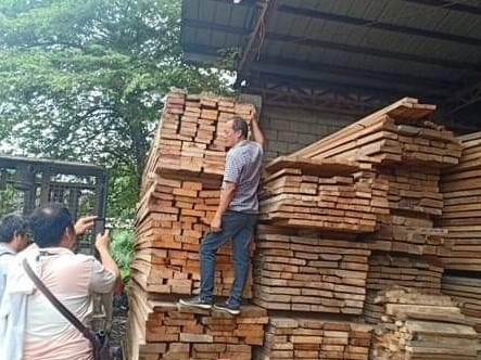 P3.2-M 'hot' logs seized from Chinese man, 4 others in Bulacan