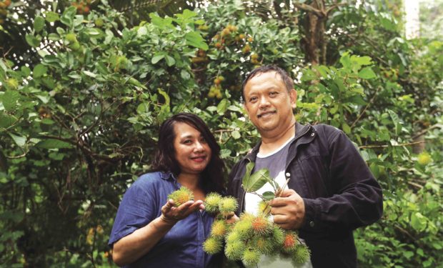 To Laguna couple, natural farming comes with a heart