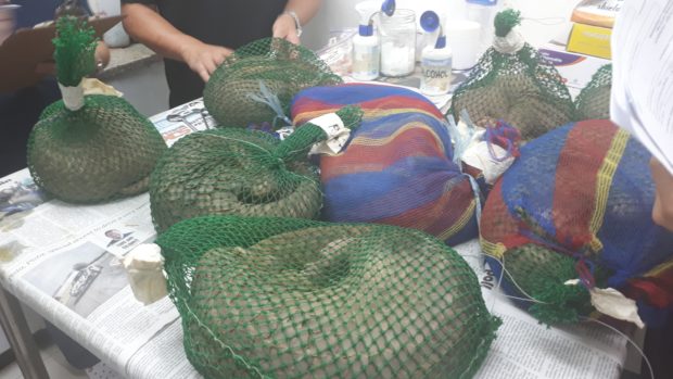 PH losing P50B a year to illegal wildlife trade