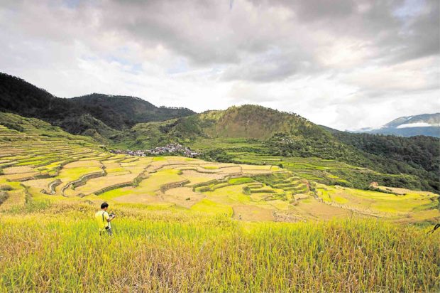 DENR eyes land status change as farms expand in Cordillera