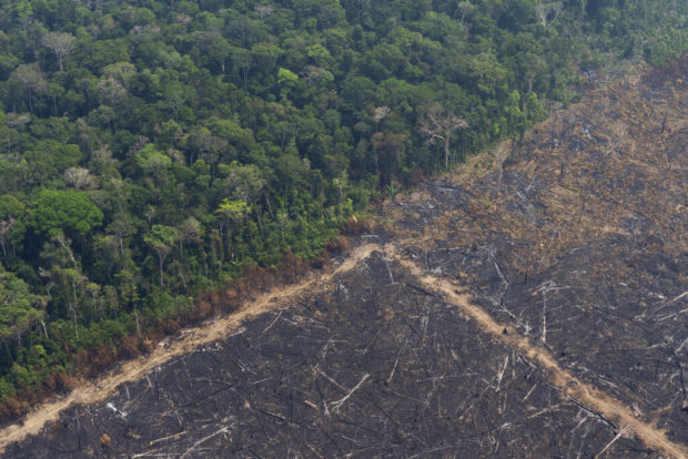 AP Explains: The Causes And Risks Of The Amazon Fires | Inquirer News