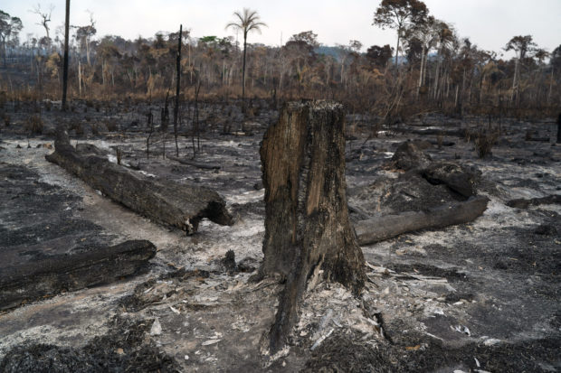 Brazil's Bolsonaro causes global outrage over Amazon fires