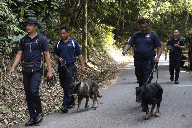 Malaysian trackers shout London girl's name in jungle search