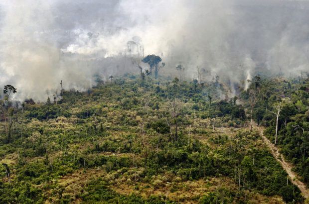 Brazil rejects G7 aid to fight Amazon fires – gov’t