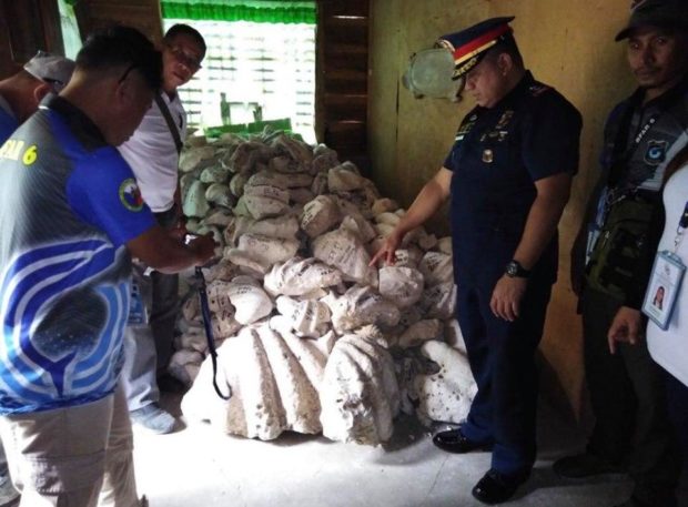 Police, BFAR seize 7 tons of giant clams being sold for P1,000/kg