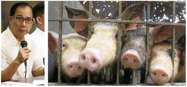 DA: African swine fever in PH; pork safe
