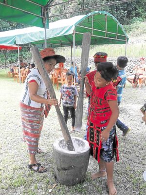 Ifugao kids keep rice cycle alive