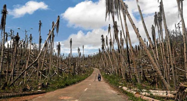 Early detection, warning, and decision-making will help mitigate the impact of natural hazards or disasters in the country’s crop sector and communities, the Food and Agriculture Organization (FAO) Philippines said. 