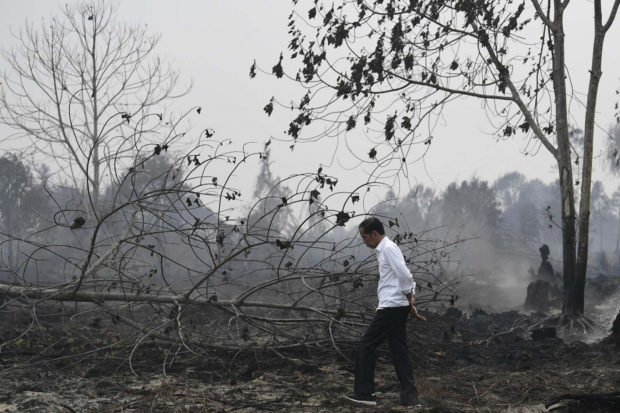 Tourism in crisis: Indonesia forest fires cause foreigners to cancel trips