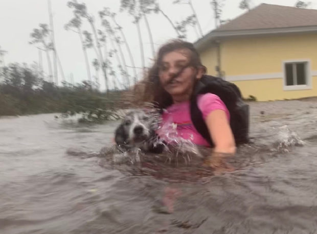  'Total devastation': Hurricane slams parts of the Bahamas, Dorian