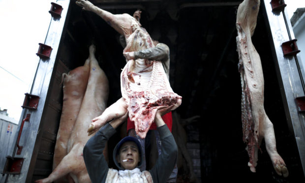 Vegetarians gaining ground in carnivorous Argentina