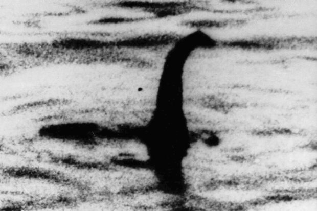  DNA hints the Loch Ness 'monster' might be giant eel