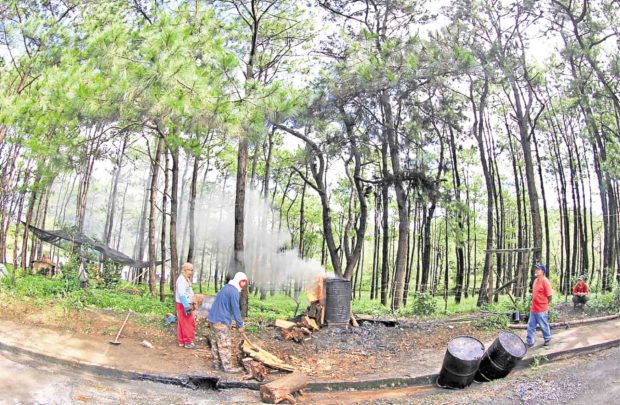 Contested mini forest in Baguio to be turned into park