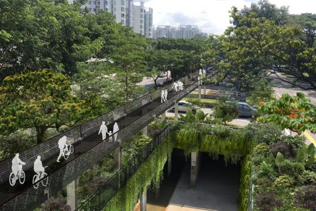 A green corridor in Singapore for all to cherish
