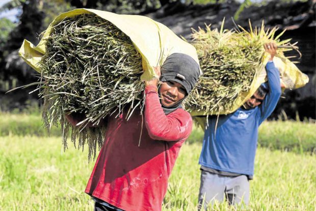 Quezon farmers dare gov’t execs: Live with us for a day