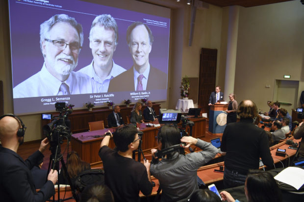  3 win Nobel Prize for showing how cells sense low oxygen