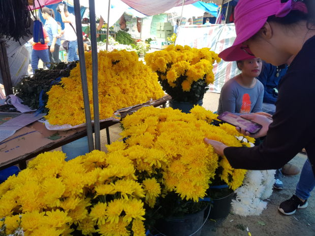 In Baguio, prices of cut flowers soar ahead of ‘Undas’