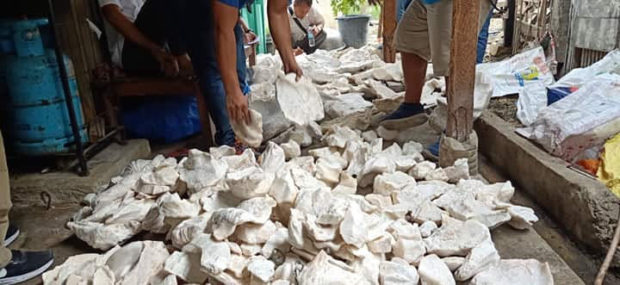 P30-M worth of fossilized giant clams seized in Cebu