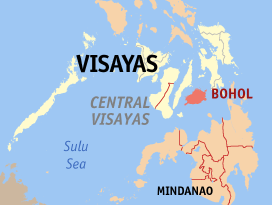 Sea trips in Bohol suspended due to Tropical Storm Dante
