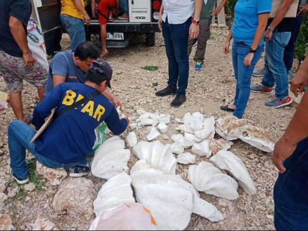 5 suspects in harvest of 2 tons of giant clams charged