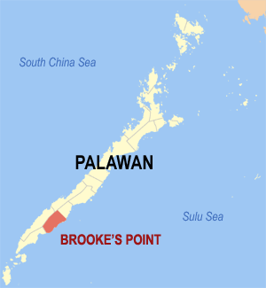 The local government unit (LGU) and residents of Brooke’s Point in Palawan urged the Department of Environment and Natural Resources (DENR) on Friday to issue a cease and desist order against Ipilan Nickel Corporation (INC). 