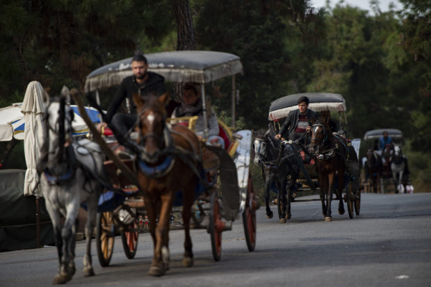 Istanbul reins in carriage rides over 'dying horses'
