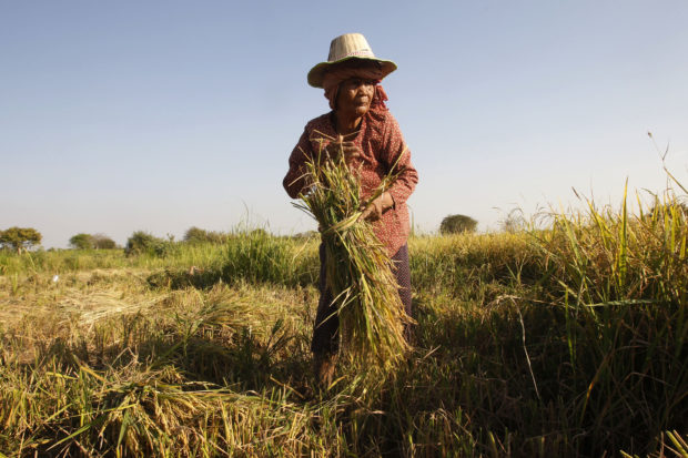 UN: Nearly a half-billion in Asia-Pacific still going hungry