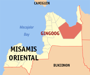 An alleged communist rebel was killed after a clash between the New People’s Army and government forces on Thursday morning in Gingoog City in Misamis Oriental, the military reported on Friday.