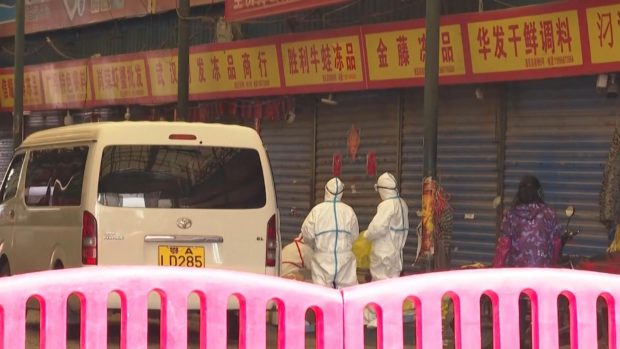 China believes new virus behind mystery pneumonia outbreak