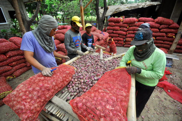 Farmers wary of gov’t plan to import onions