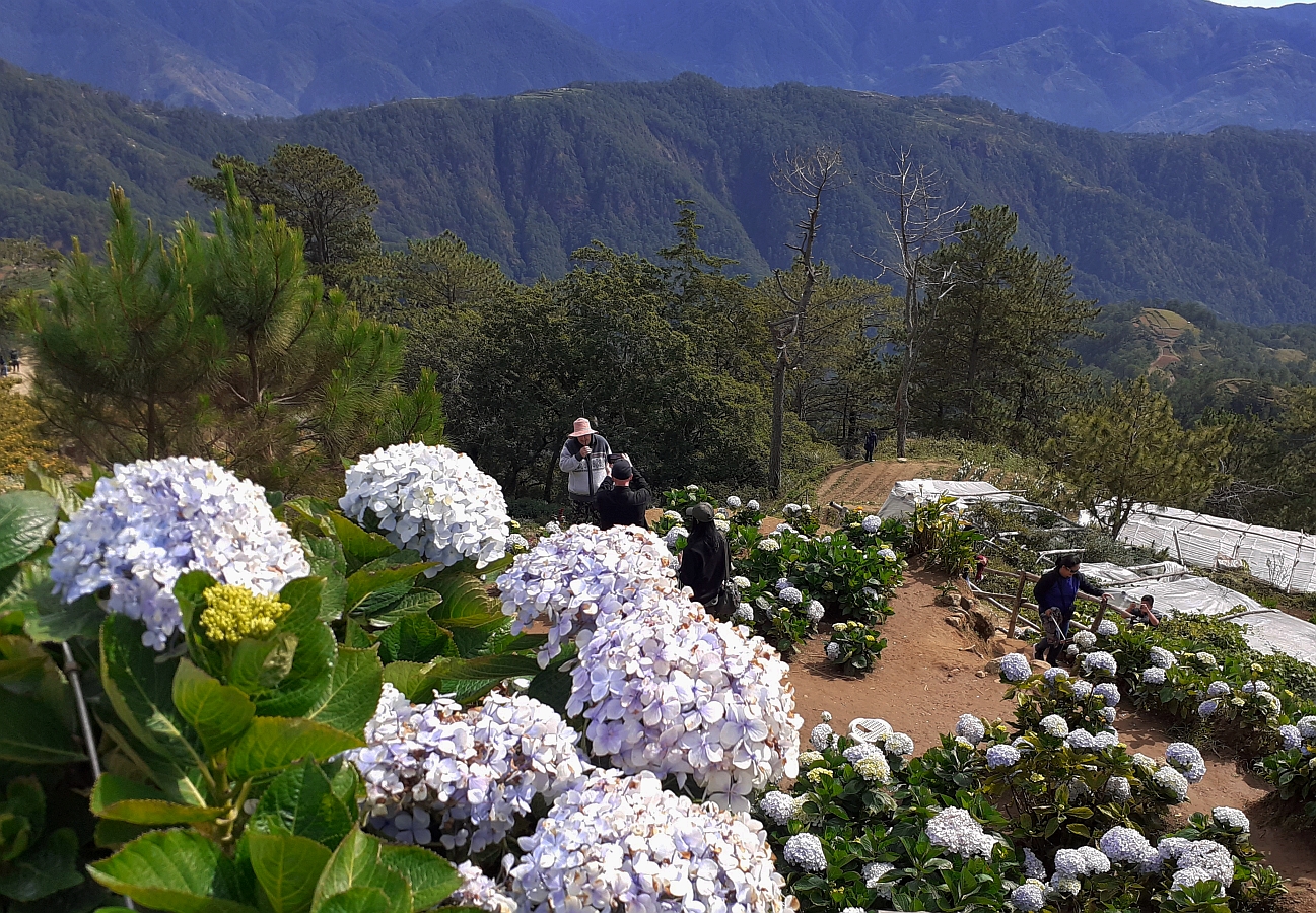 mercury-drops-to-11-4-degrees-celsius-in-baguio-city-inquirer-news