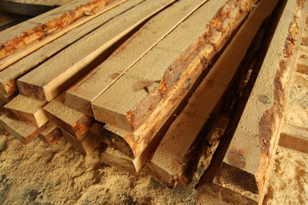 illegal lumber