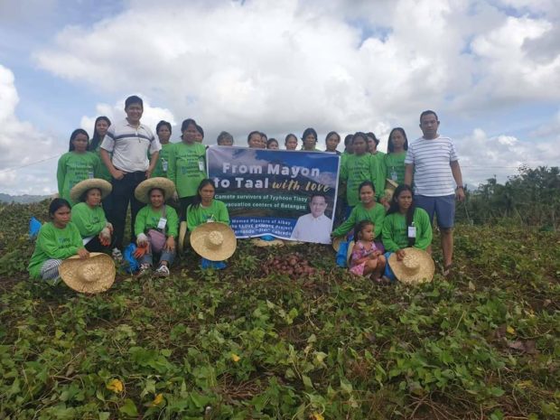 Women planters in Albay province harvested sweet potatoes