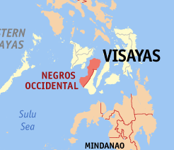 More road networks to remote villages of Negros Occidental needed – official