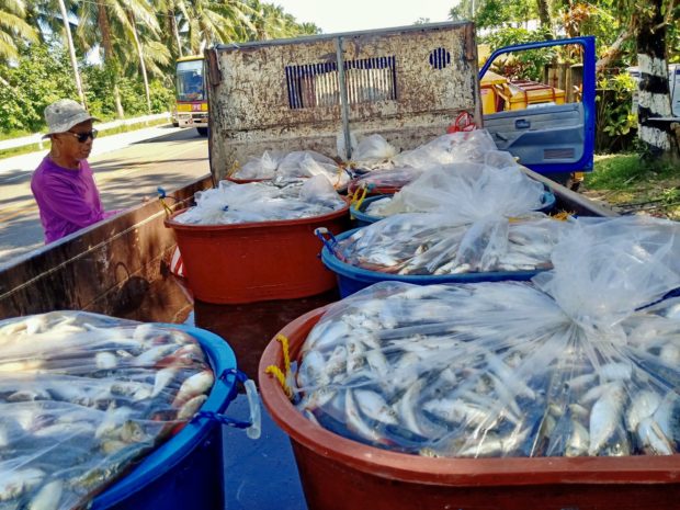 Sorsogon gov't to give fish to poor families affected by lockdown