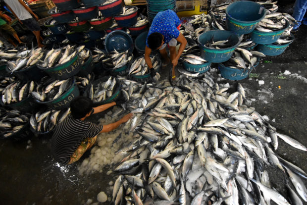 Fish cheaper, best protein source amid rising prices of meat, poultry – group