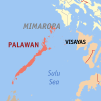 DOLE stops cash-for-work in Palawan as IP recipients got incomplete amount
