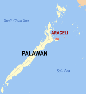 Palawan records first COVID-19 case | Inquirer News